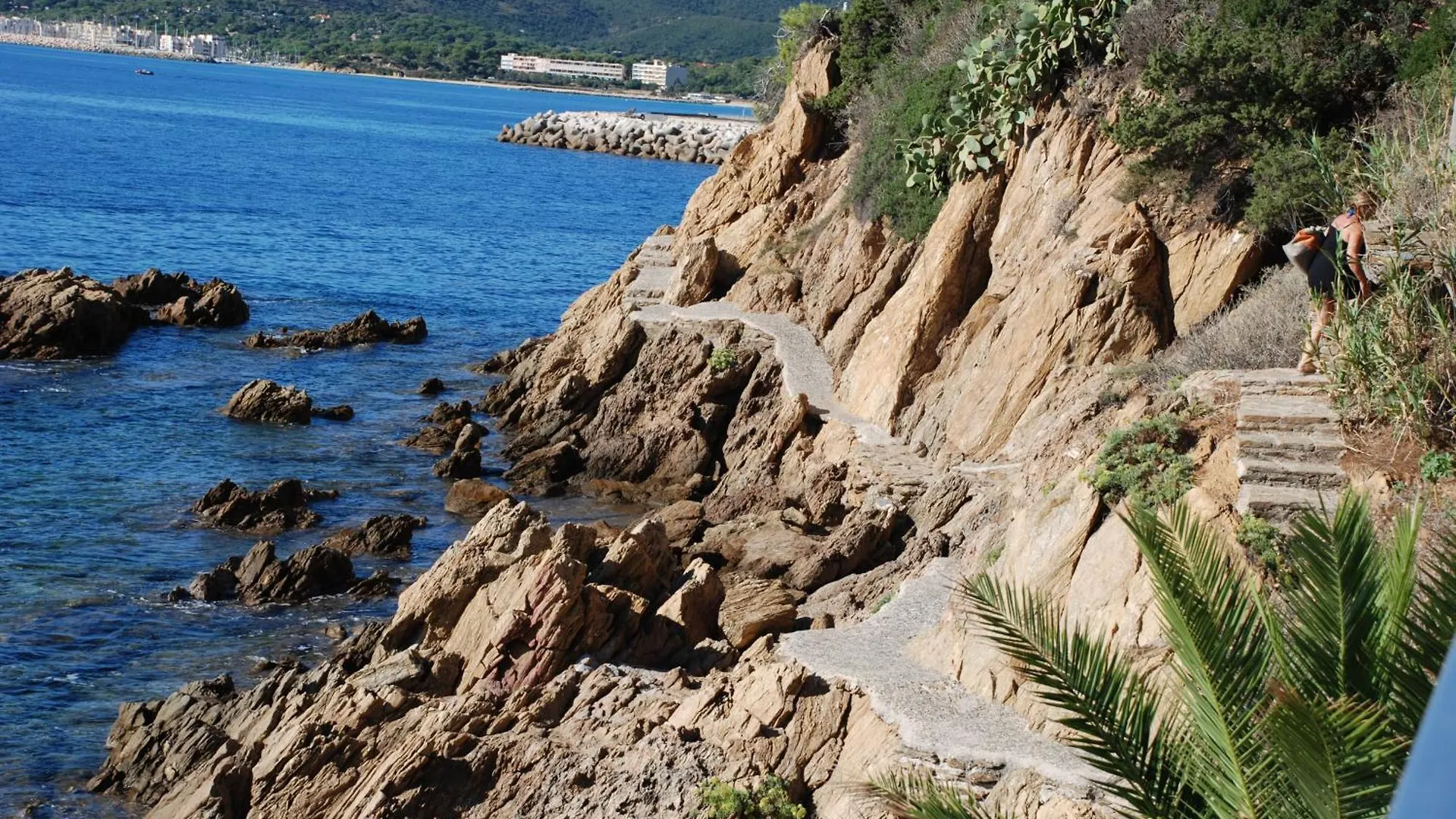 Bel appart saint clair-lavandou Le Lavandou France